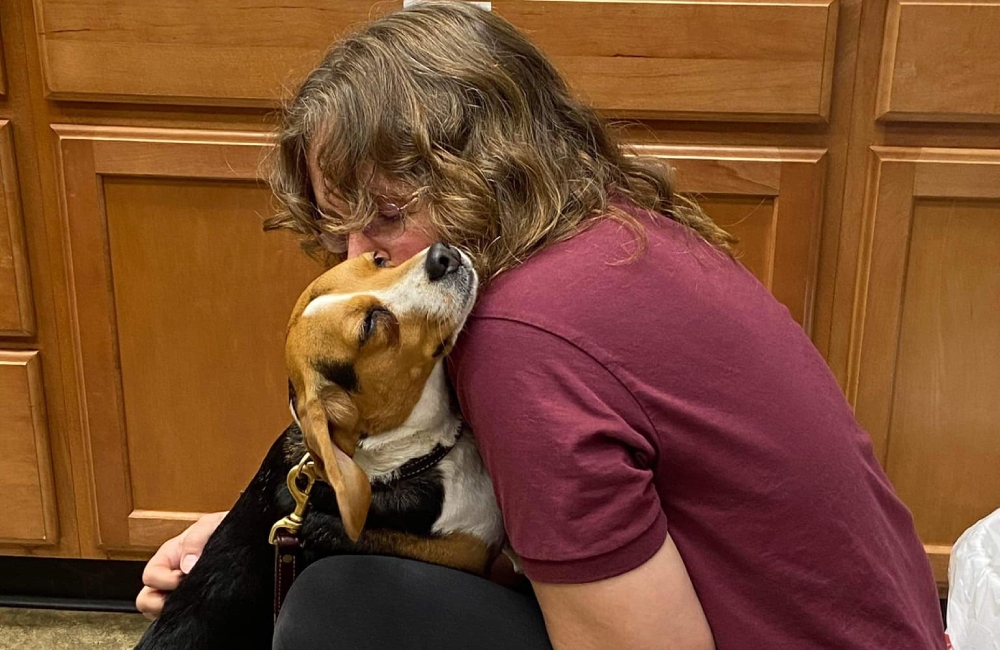 Veterinarian in Bridgton, ME